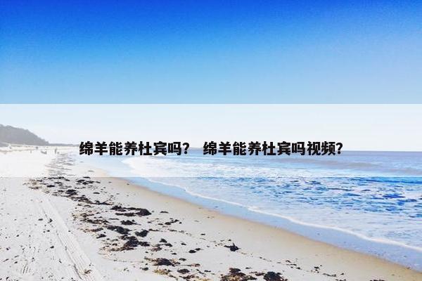 绵羊能养杜宾吗？ 绵羊能养杜宾吗视频？
