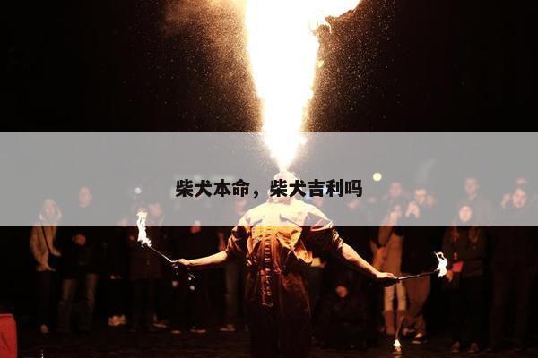 柴犬本命，柴犬吉利吗