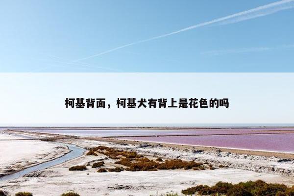 柯基背面，柯基犬有背上是花色的吗