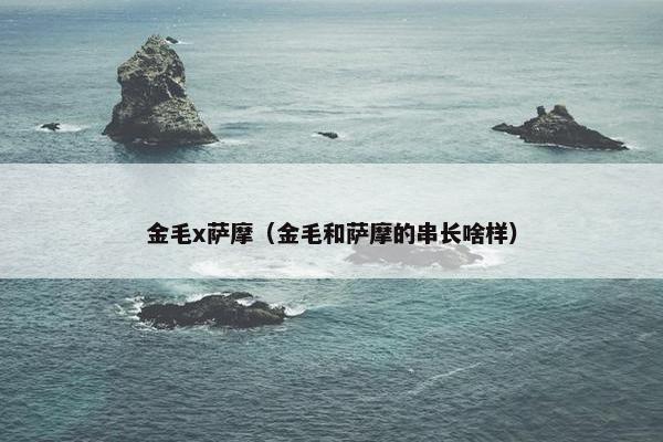 金毛x萨摩（金毛和萨摩的串长啥样）