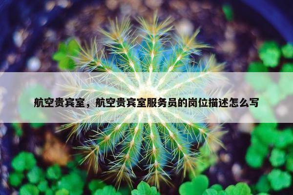 航空贵宾室，航空贵宾室服务员的岗位描述怎么写