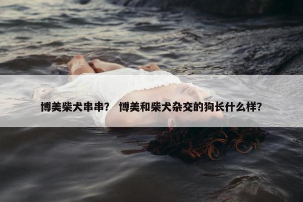 博美柴犬串串？ 博美和柴犬杂交的狗长什么样？