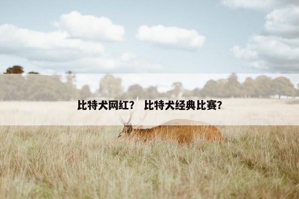 比特犬网红？ 比特犬经典比赛？