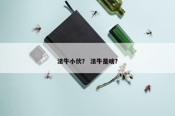 法牛小伙？ 法牛是啥？