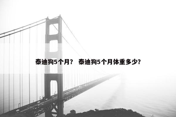泰迪狗5个月？ 泰迪狗5个月体重多少？