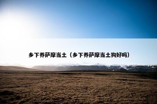 金石