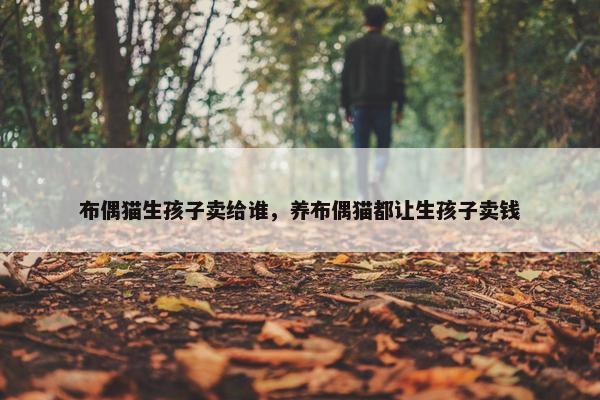 布偶猫生孩子卖给谁，养布偶猫都让生孩子卖钱