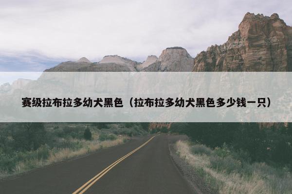 赛级拉布拉多幼犬黑色（拉布拉多幼犬黑色多少钱一只）