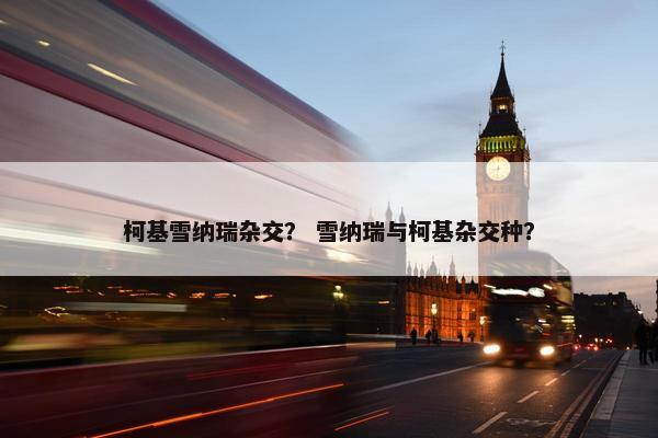 柯基雪纳瑞杂交？ 雪纳瑞与柯基杂交种？