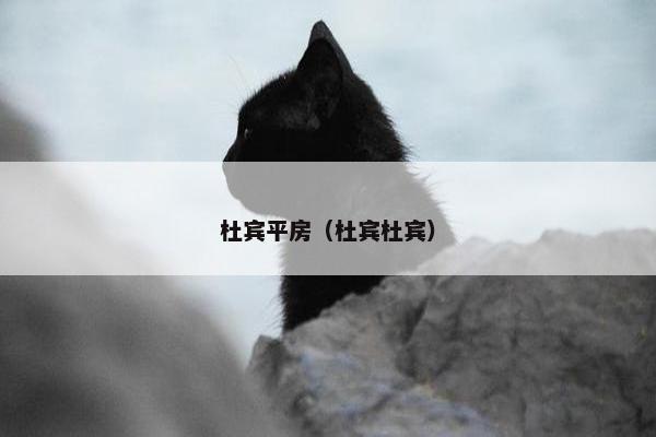 杜宾平房（杜宾杜宾）