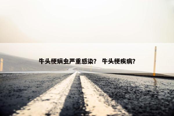 牛头梗螨虫严重感染？ 牛头梗疾病？