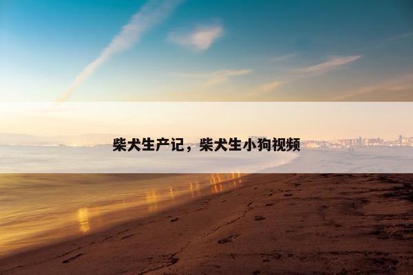 柴犬 第14页