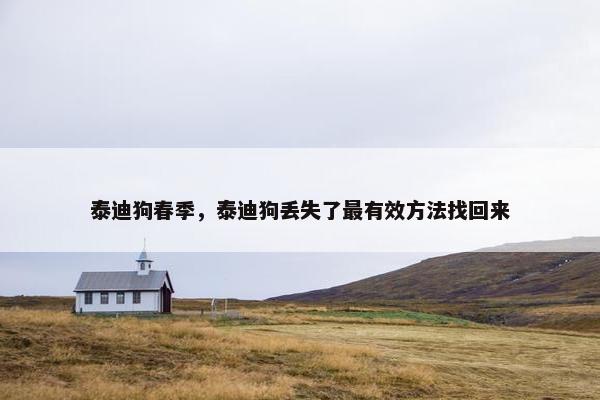 泰迪狗春季，泰迪狗丢失了最有效方法找回来