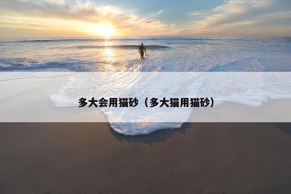 多大会用猫砂（多大猫用猫砂）