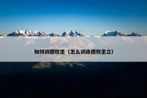 如何训德牧坐（怎么训练德牧坐立）