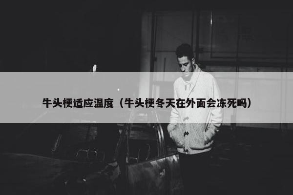 牛头梗适应温度（牛头梗冬天在外面会冻死吗）