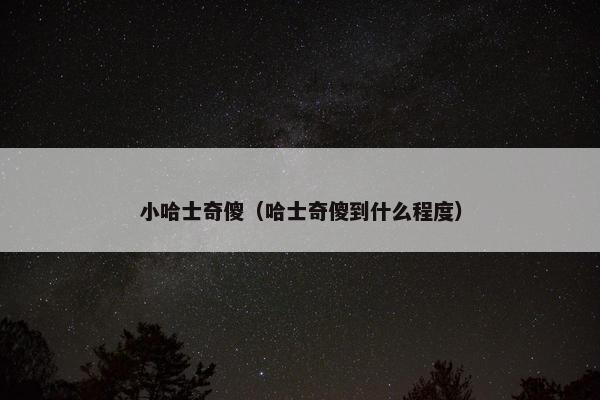 小哈士奇傻（哈士奇傻到什么程度）