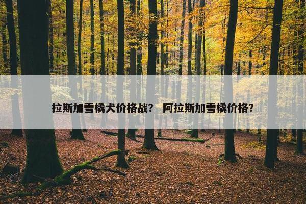 拉斯加雪橇犬价格战？ 阿拉斯加雪橇价格？