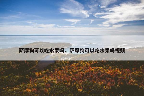 萨摩狗可以吃水果吗，萨摩狗可以吃水果吗视频