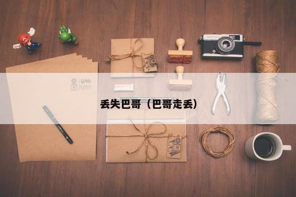 丢失巴哥（巴哥走丢）