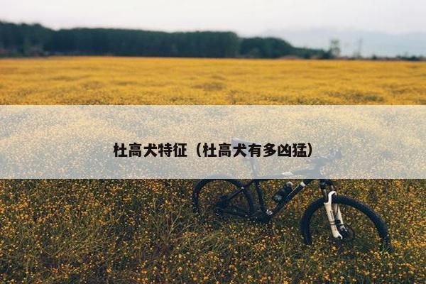 杜高犬特征（杜高犬有多凶猛）