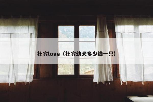 杜宾love（杜宾幼犬多少钱一只）