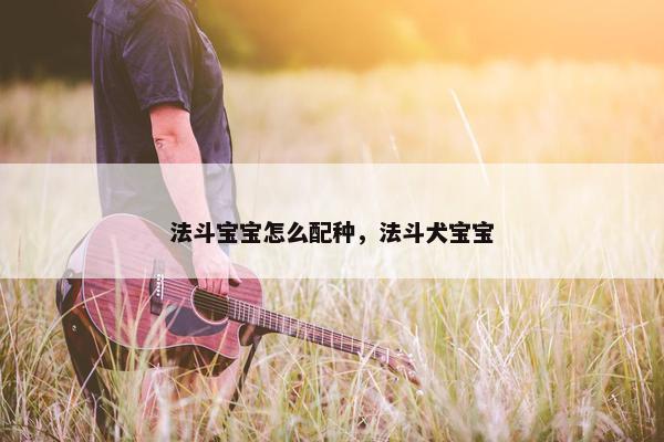 法斗宝宝怎么配种，法斗犬宝宝