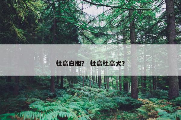 杜高白胆？ 杜高杜高犬？