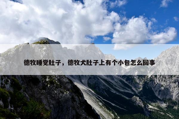 德牧睡觉肚子，德牧犬肚子上有个小包怎么回事
