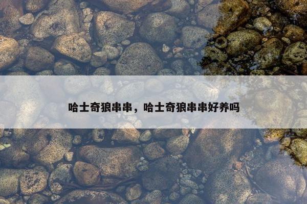 哈士奇狼串串，哈士奇狼串串好养吗