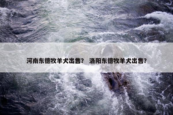 河南东德牧羊犬出售？ 洛阳东德牧羊犬出售？