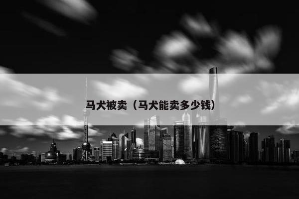 马犬被卖（马犬能卖多少钱）