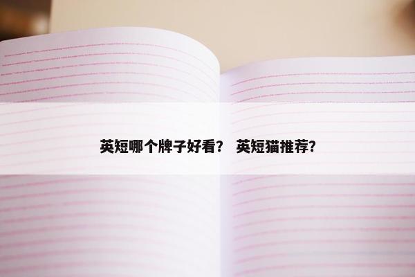 英短哪个牌子好看？ 英短猫推荐？