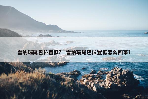 雪纳瑞尾巴位置低？ 雪纳瑞尾巴位置低怎么回事？