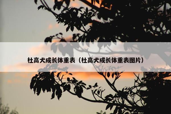 杜高犬成长体重表（杜高犬成长体重表图片）
