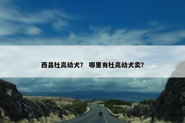 西昌杜高幼犬？ 哪里有杜高幼犬卖？
