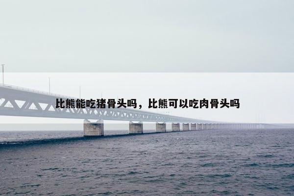 比熊能吃猪骨头吗，比熊可以吃肉骨头吗