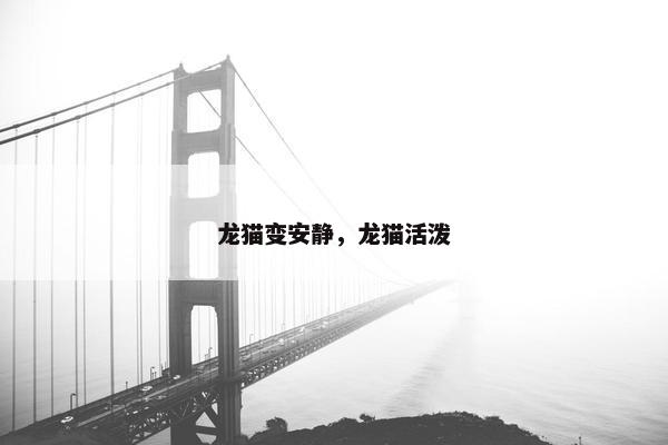 龙猫变安静，龙猫活泼