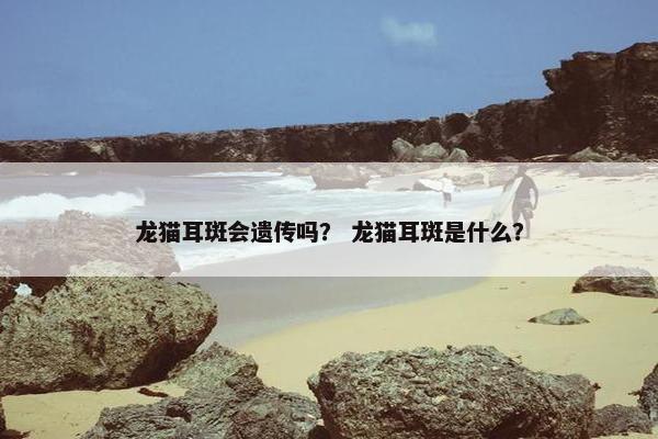 龙猫耳斑会遗传吗？ 龙猫耳斑是什么？