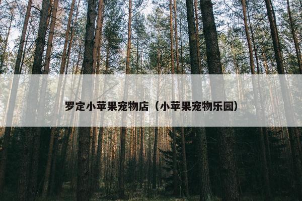 罗定小苹果宠物店（小苹果宠物乐园）