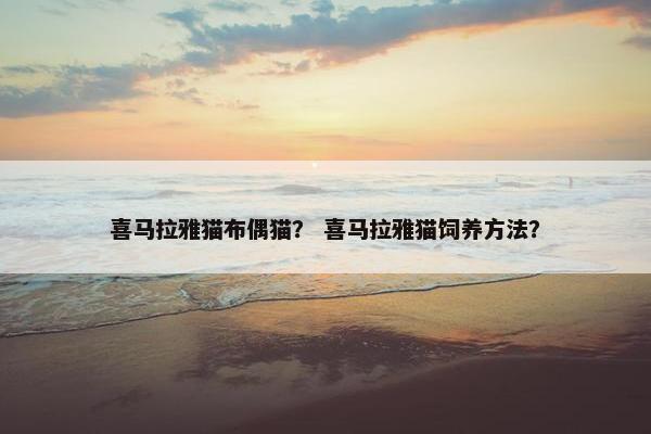 喜马拉雅猫布偶猫？ 喜马拉雅猫饲养方法？