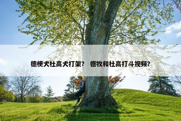 德梗犬杜高犬打架？ 德牧和杜高打斗视频？