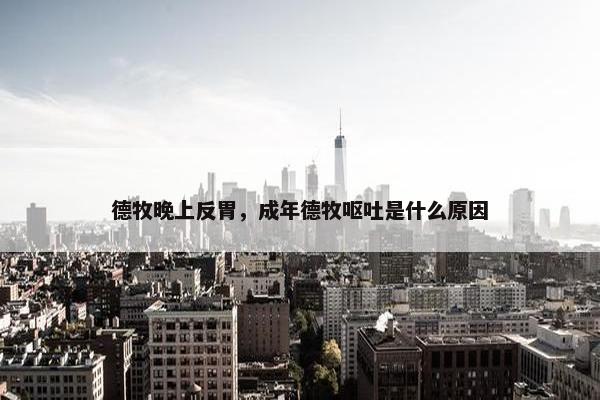 德牧晚上反胃，成年德牧呕吐是什么原因