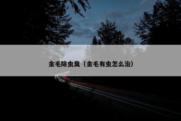 金毛除虫臭（金毛有虫怎么治）