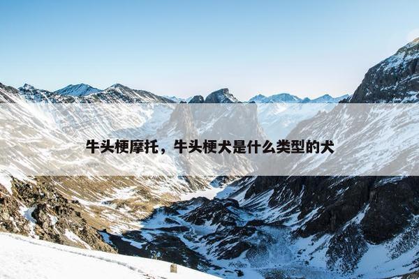 牛头梗摩托，牛头梗犬是什么类型的犬