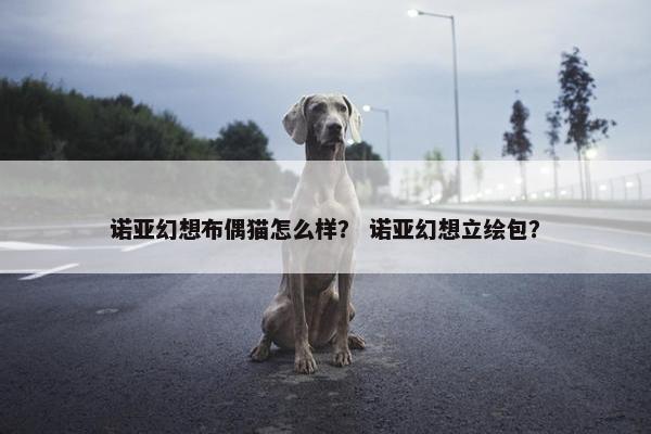 诺亚幻想布偶猫怎么样？ 诺亚幻想立绘包？