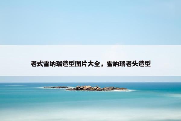 老式雪纳瑞造型图片大全，雪纳瑞老头造型