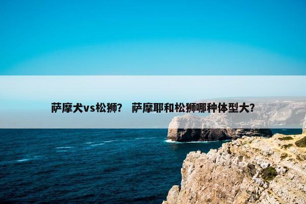 萨摩犬vs松狮？ 萨摩耶和松狮哪种体型大？