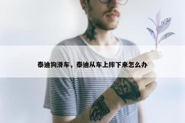 泰迪狗滑车，泰迪从车上摔下来怎么办