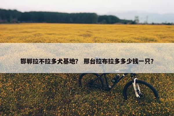 忠爱